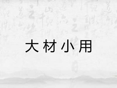 大材小用