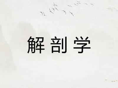 解剖学