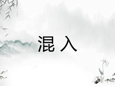 混入
