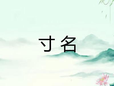 寸名