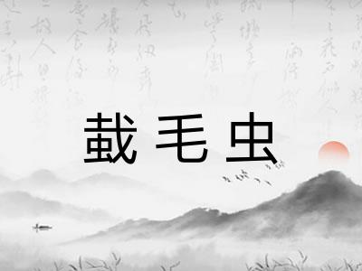 蛓毛虫
