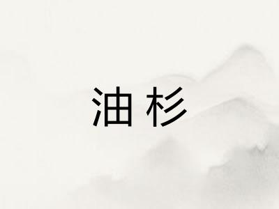 油杉