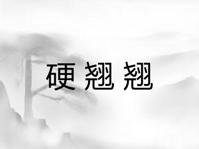 硬翘翘