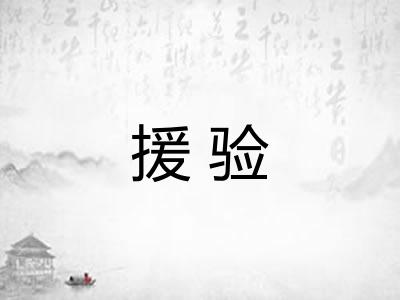 援验