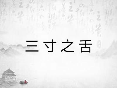 三寸之舌