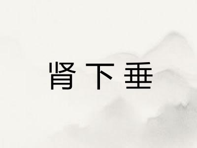 肾下垂