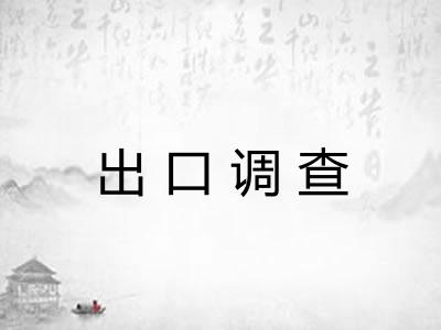 出口调查