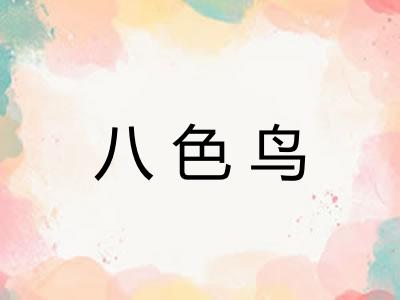 八色鸟