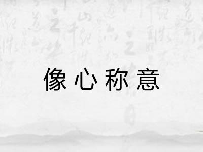像心称意
