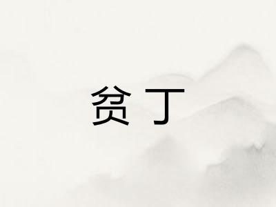 贫丁