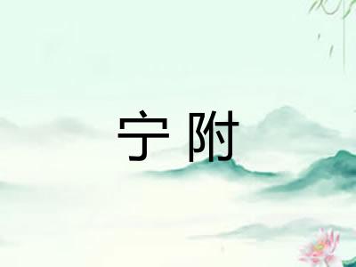 宁附