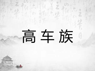 高车族