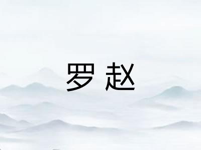 罗赵
