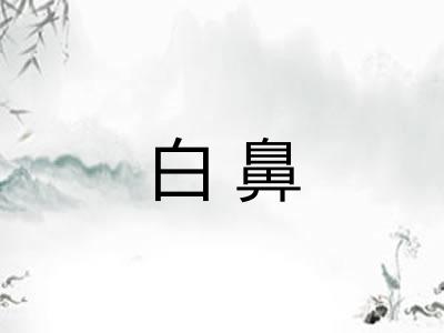 白鼻