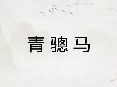 青骢马
