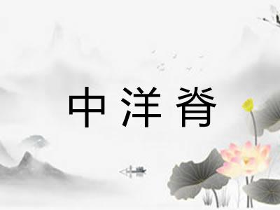 中洋脊