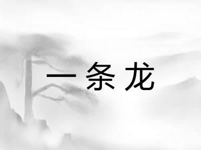 一条龙