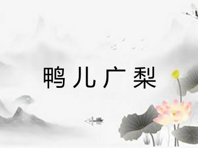 鸭儿广梨