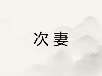 次妻
