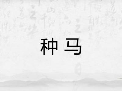 种马