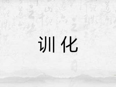训化