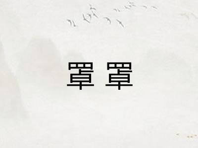 罩罩