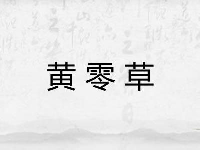 黄零草