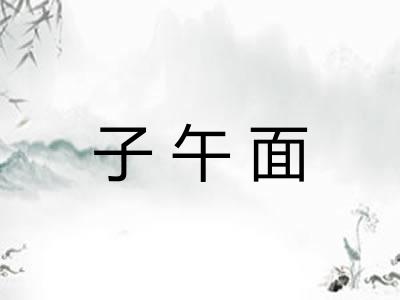 子午面
