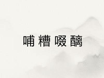 哺糟啜醨