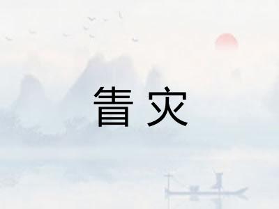 眚灾