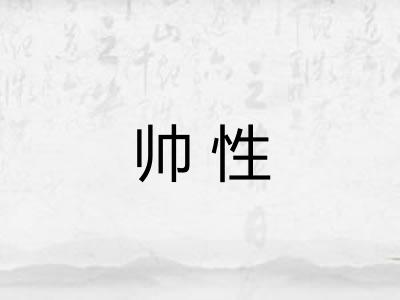 帅性