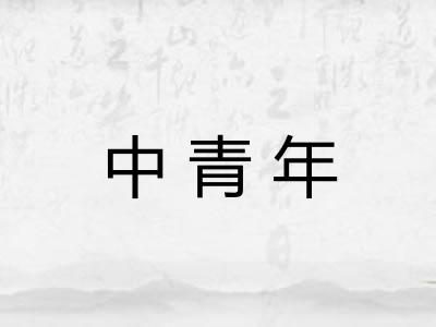 中青年