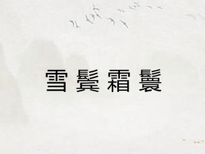 雪鬓霜鬟