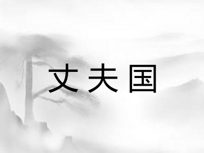 丈夫国