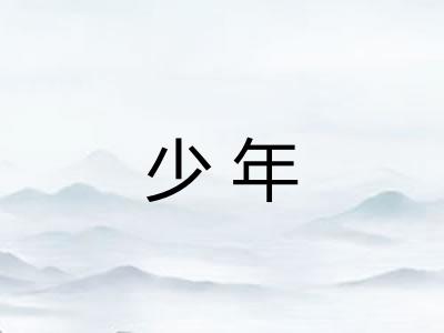 少年
