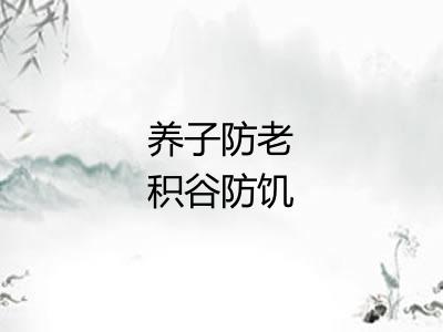养子防老积谷防饥