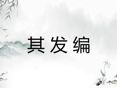 其发编