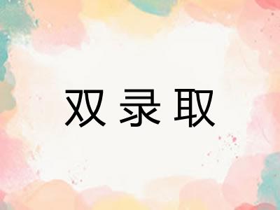 双录取