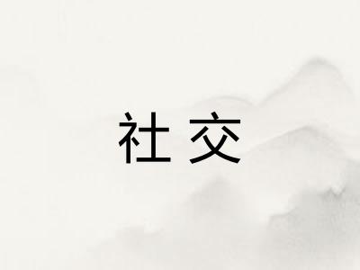 社交