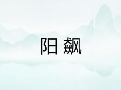 阳飙