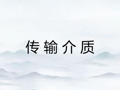 传输介质
