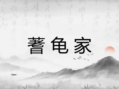蓍龟家
