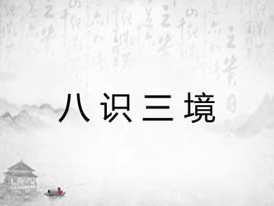 八识三境