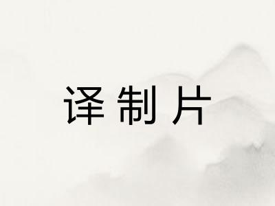 译制片