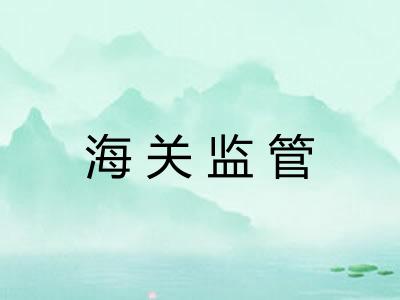 海关监管
