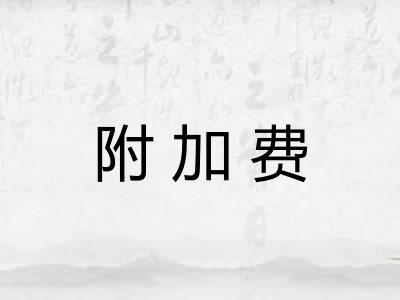 附加费