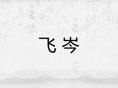 飞岑