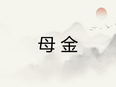 母金