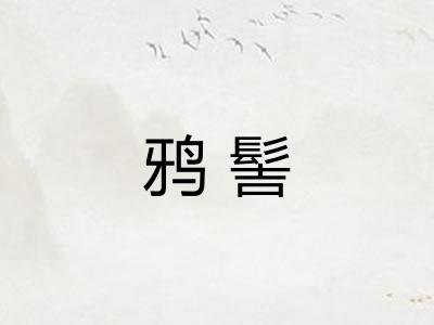 鸦髻