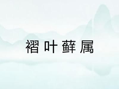 褶叶藓属